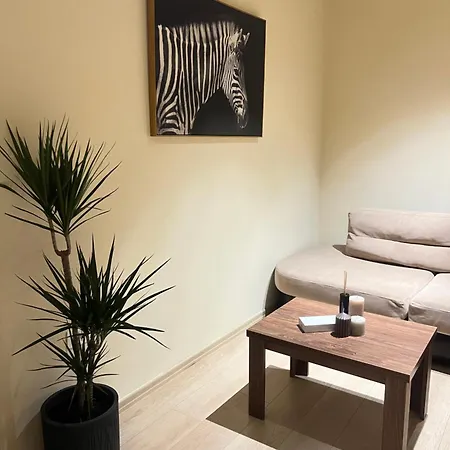 Milas House 2 * Tirana
