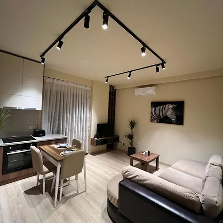 Milas House 2 * 地拉那