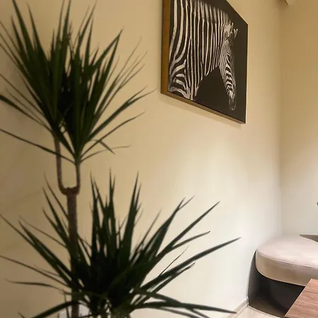 Milas House 2 * 地拉那