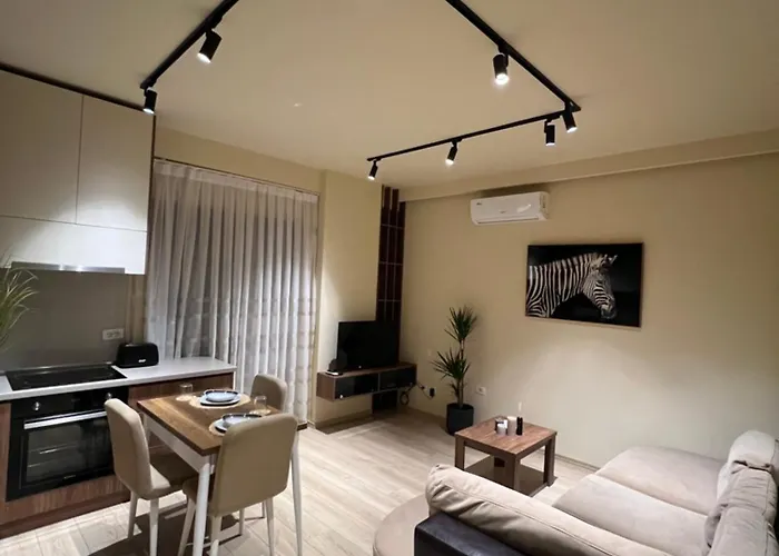 Milas House 2 * 地拉那