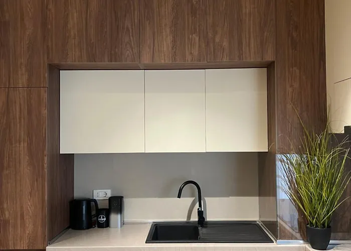 公寓 Milas House 2 地拉那